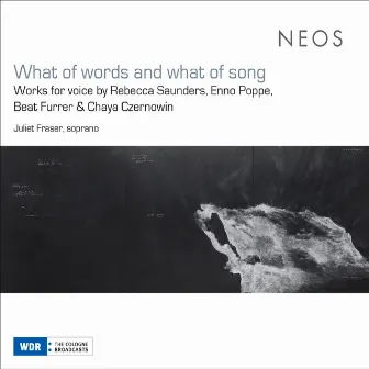 What of Words and What of Song by Helen Bledsoe