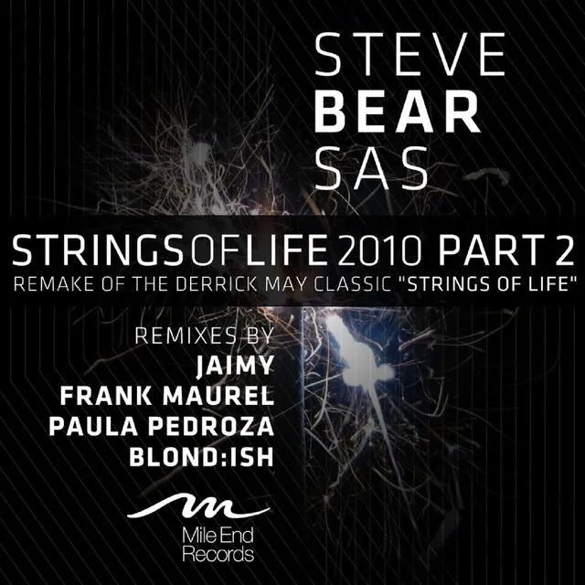 Strings Of Life 2010 - Blond:ish & Stephan Hoffman Remix