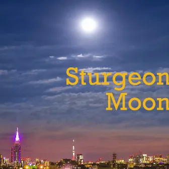 Sturgeon Moon by TEEZVA