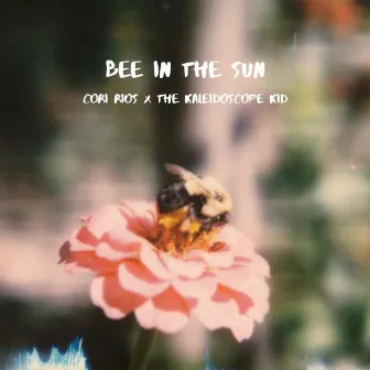 Bee in the Sun by Cori Rios