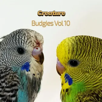 Budgies, Vol. 10 by Creature