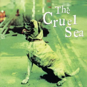 Three Legged Dog by The Cruel Sea