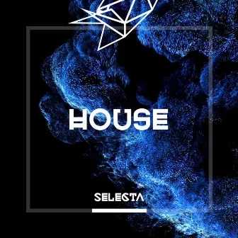 Selecta House by Selecta