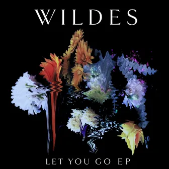 Let You Go EP by WILDES