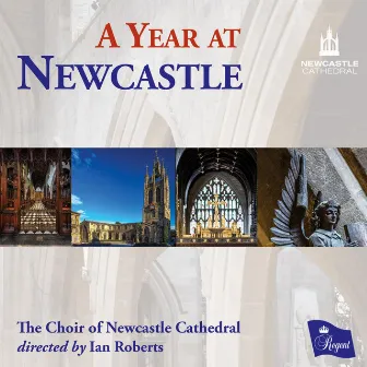 A Year at Newcastle by Ian Roberts