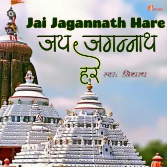 Jai Jagannath Hare by 