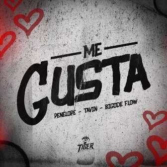 Me Gusta by Bigode Flow