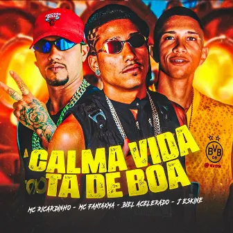 Calma Vida Ta de Boa by Biel Acelerado