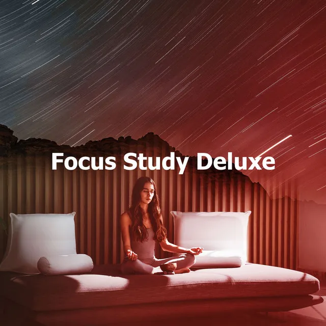 Focus Study Deluxe