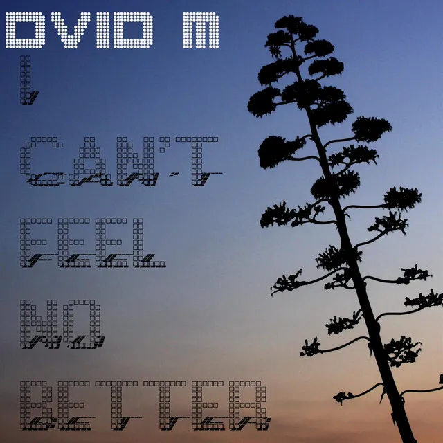 Dvid M - I Can't Feel No Better