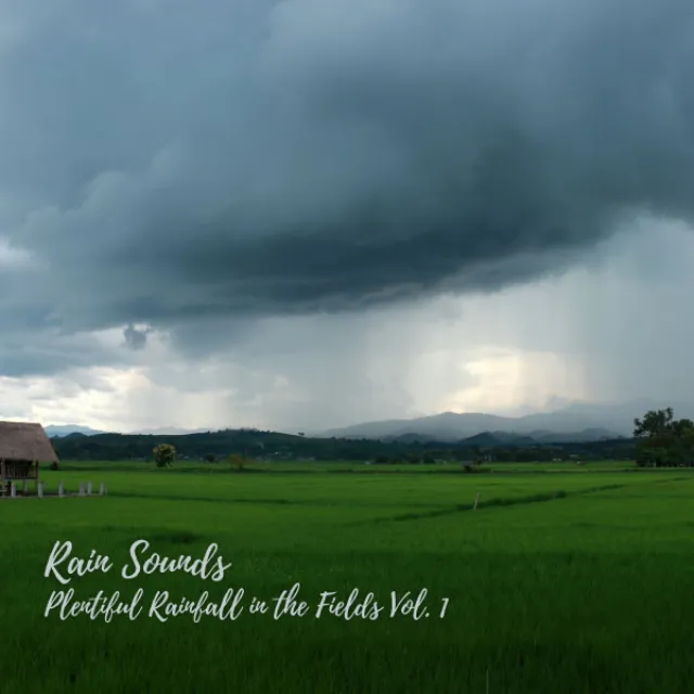 Rain Sounds: Plentiful Rainfall in the Fields Vol. 1