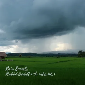 Rain Sounds: Plentiful Rainfall in the Fields Vol. 1 by Water Sounds For Spa