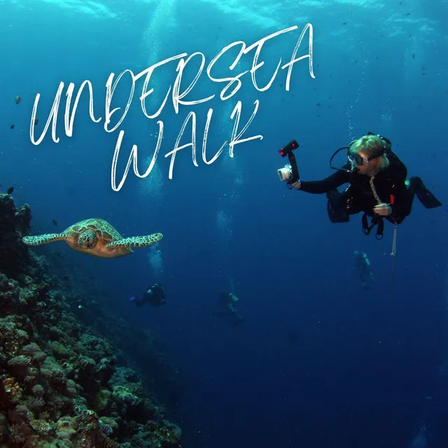 UNDERSEA WALK