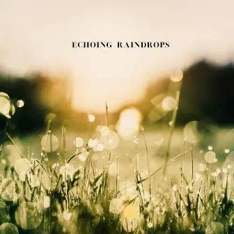 Echoing Raindrops by PLX Library