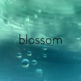 blossom by Annie Goodchild