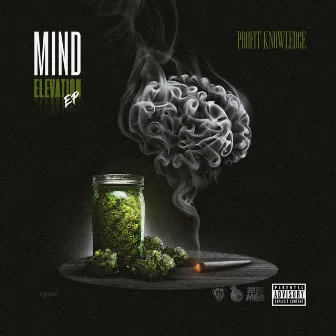 Mind Elevation by Profit Knowledge