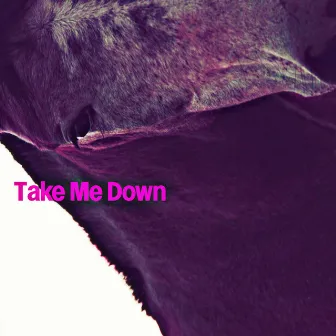 Take Me Down by Larry Stewart