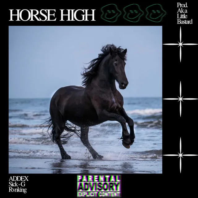 HORSE HIGH