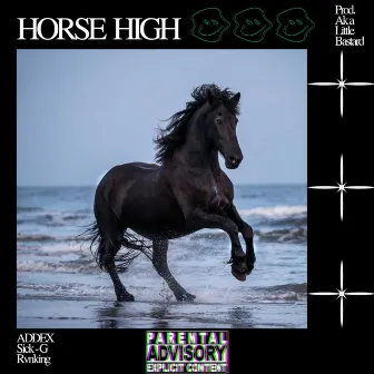 HORSE HIGH by ADDEX aka Little Bastard