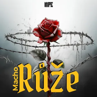 Růže by produced by tmsh