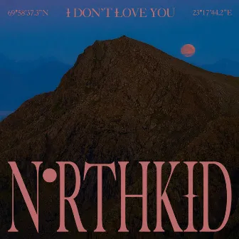 I Don't Love You by NorthKid