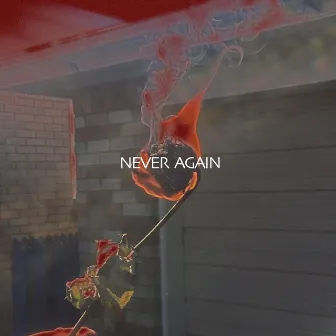 Never Again by FL@GO