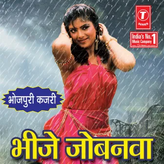 Bheeje Jobanwa by Geeta Tiyagi