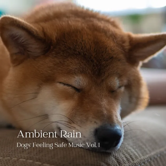 Ambient Rain: Dogs' Feeling Safe Music Vol. 1