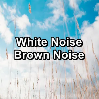 White Noise Brown Noise by White Noise, Pink Noise, Brown Noise