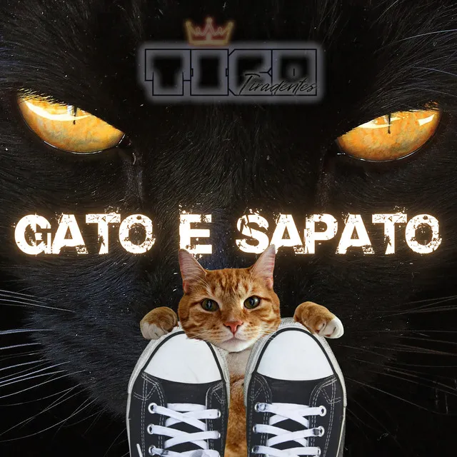 Gato e Sapato