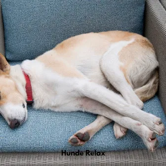 Hunde Relax by Hunde Musik TA