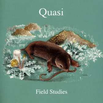 Field Studies by Quasi