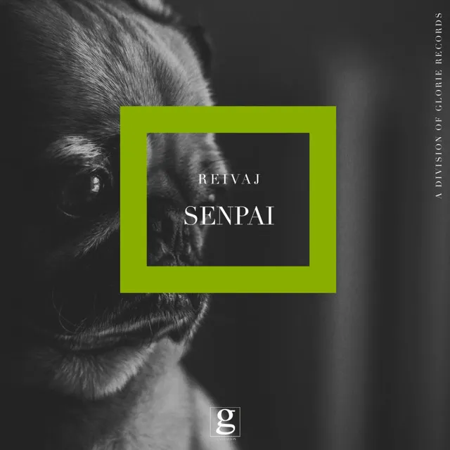 Senpai - Radio Edit