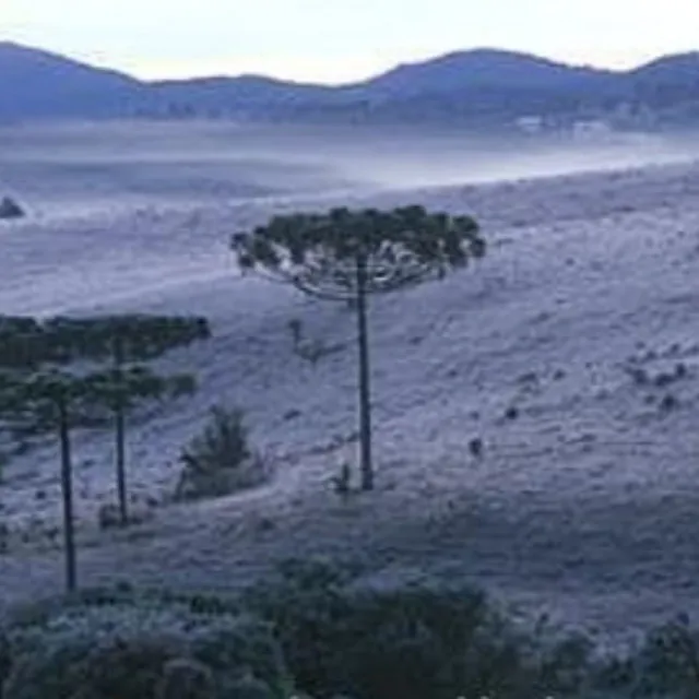 Paisagem de Inverno (2007) B