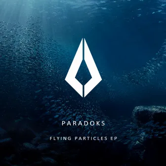 Flying Particles EP by Paradoks