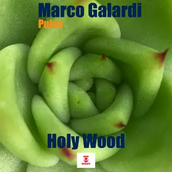 Holy Wood by Marco Galardi Pulse