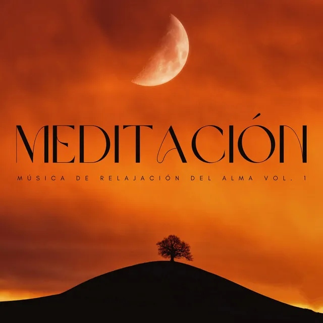 Meditacion: Música De Relajación Del Alma Vol. 1