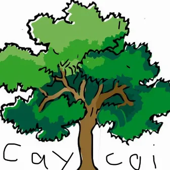 Cay coi by RALFI