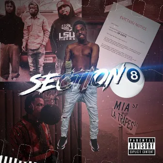 Section 8 by Yungun