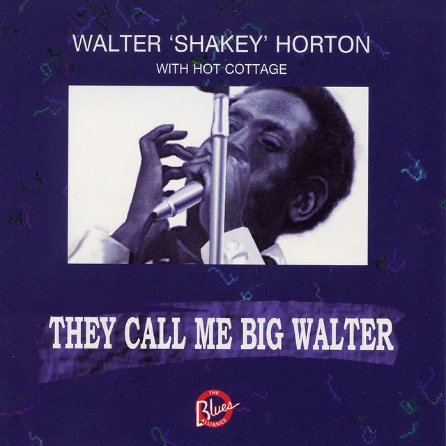 Big Walter's Boogie