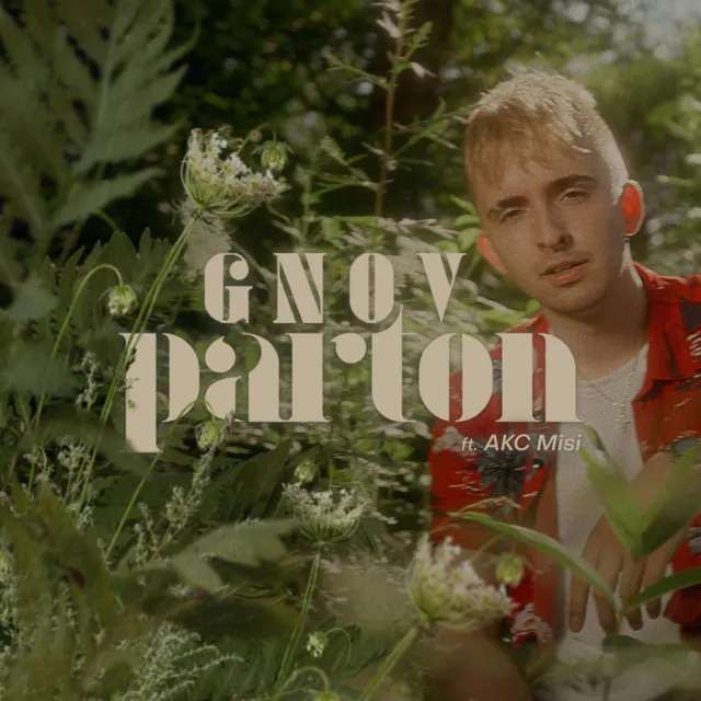 Parton