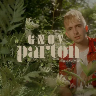 Parton by GNOV