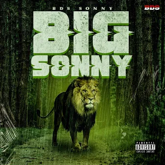 Big Sonny by BDS Sonny