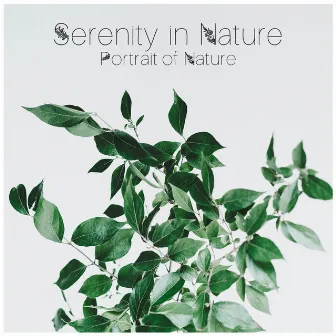 Serenity in Nature by Portrait of Nature