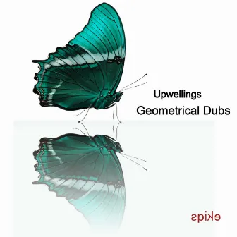 Geometrical Dubs by Upwellings