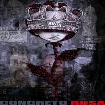 Concreto Rosa by The King