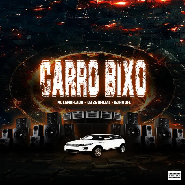 CARRO BIXO