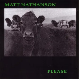 Please by Matt Nathanson