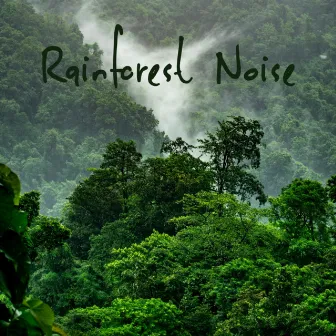 Rainforest Noise by Dreamsound