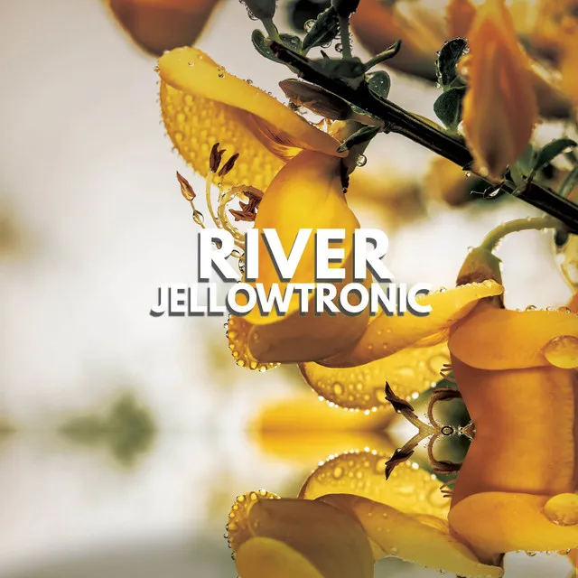 Jellowtronic